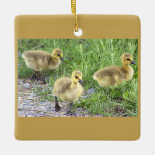 Goslings Photo Ornament