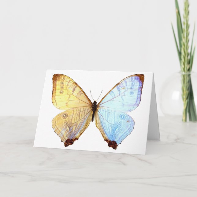 Gossamer Blue Butterfly Vingar Note Birday Card Kort (Framsida)