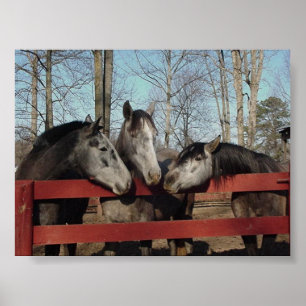 Gossip Corner Poster