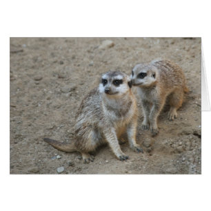 Gossip-kort Hälsningskort