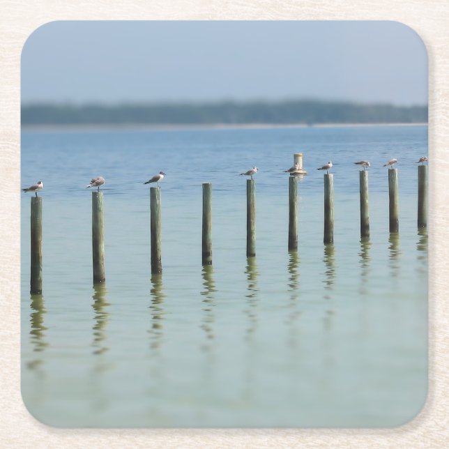 "Gossip Line" - Kustnära Fiskmåsar - Underlägg (Framsidan)