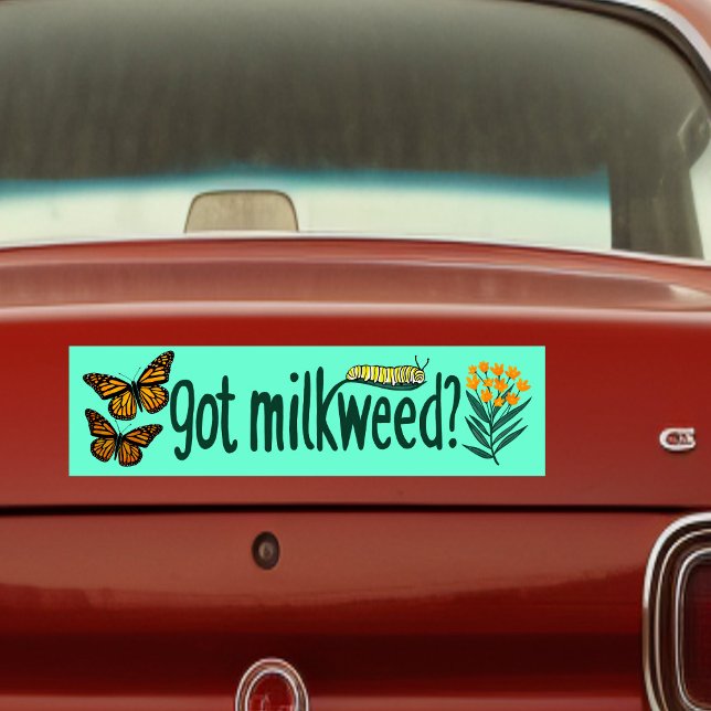GOT MILKWEED? Monarch Butterfly Caterpillar Plants Bildekal (GOT MILKWEED? Monarch Butterfly Caterpillar Plants Bumper Sticker
)