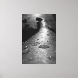 Gotas Canvastryck