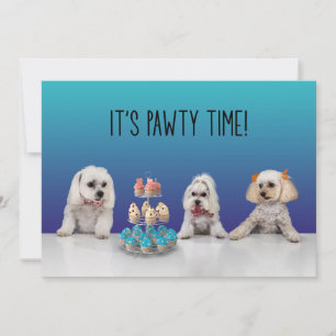 Gotcha Day Party-inbjudan Inbjudningar