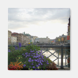 Göteborgs historiska centrum, Sverige Magnet