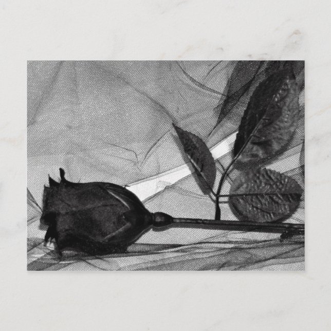 Goth Valentine Helg Vykort (Framsida)