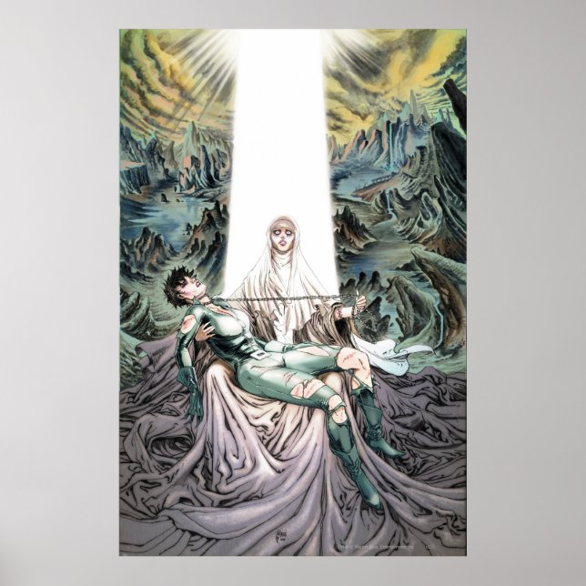 Gotham City Sirens Cv13 Poster (Framsidan)