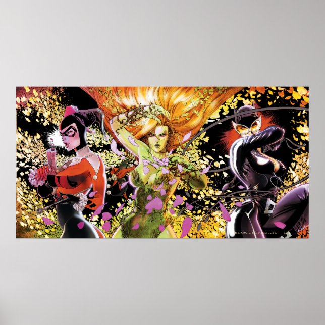 Gotham City Sirens Cv5-6-7 Poster (Framsidan)