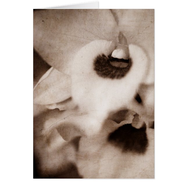 Gotham orchid - kort (Framsidan)