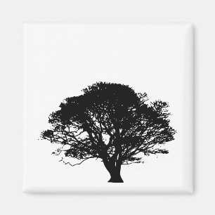 Gothic Black Oak Träd Silhouette Fine Art Teckning Magnet