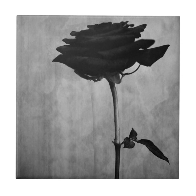 Gothic Black Ro Kakelplatta (Framsidan)