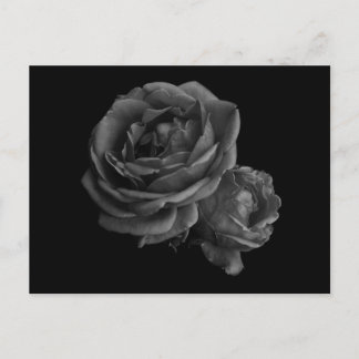 Gothic Black Ro Vykort