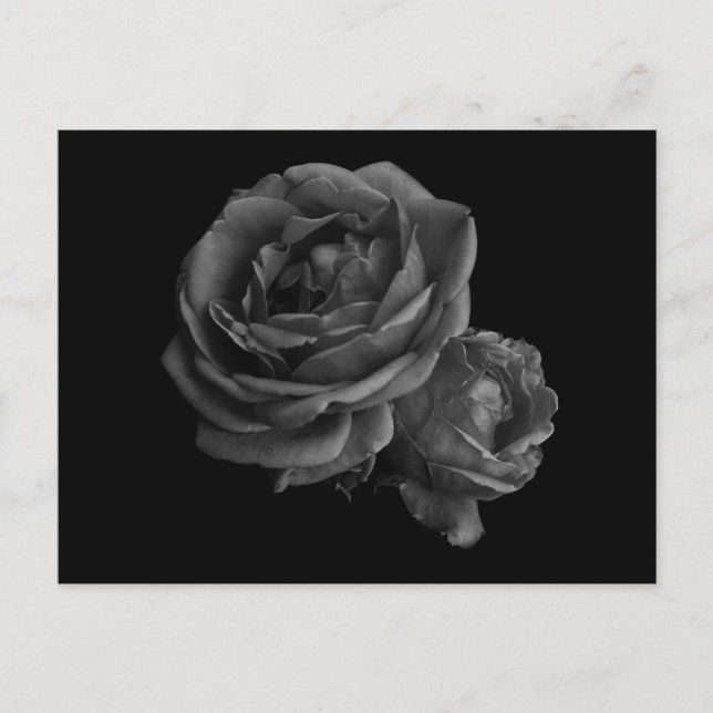 Gothic Black Ro Vykort (Framsida)