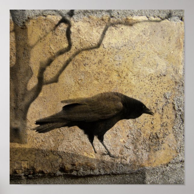 Gothic Caw Poster (Framsidan)