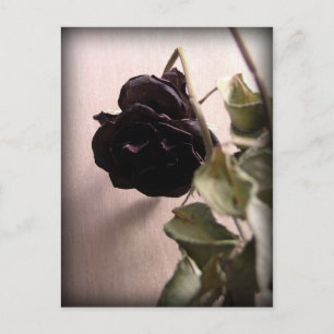 Gothic Dead Ro Vykort