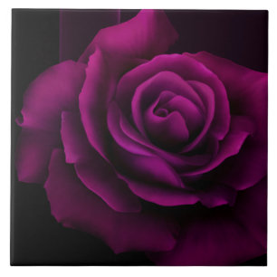 Gothic Lila-Röd ros Flower Kakelplatta