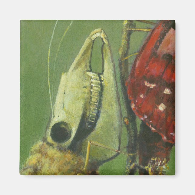 Gothic Moth Surreal Magnet (Framsidan)