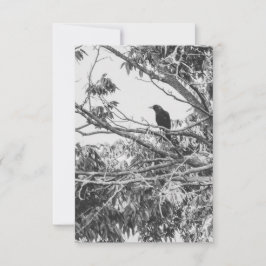 Gothic Raven Postcard Inbjudningar