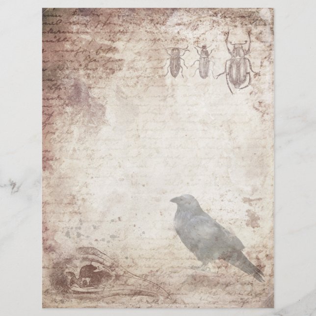 Gothic Raven Vintage Parchment Scrapbook Papper (Framsida)