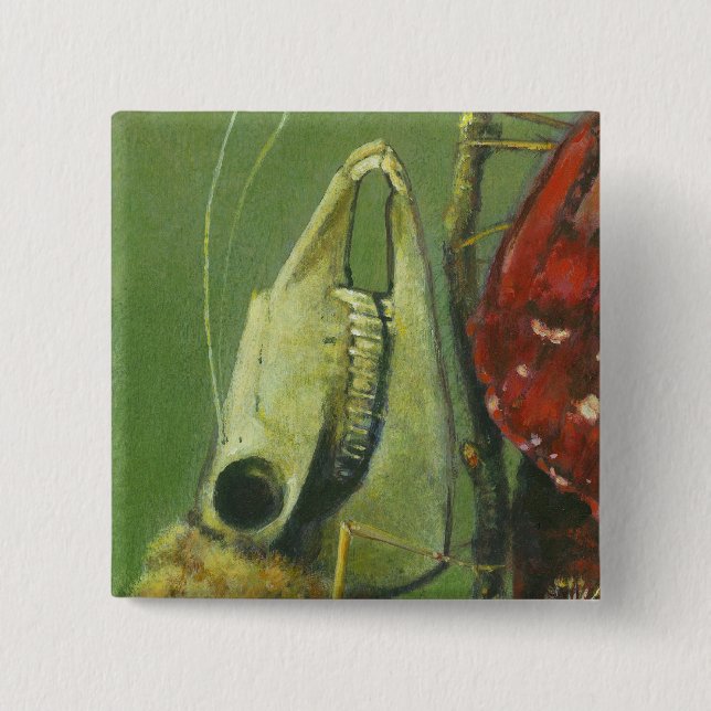 Gothic Skull Moth-knapp Knapp (Framsida)