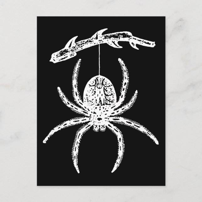 Gothic Spider Hanging från Gren Vykort (Framsida)