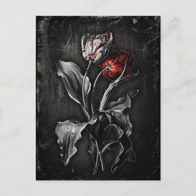 Gothic Tulips Vykort (Framsida)