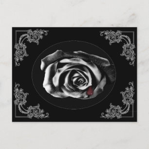 Gothic Vampire Black ro-vykort Vykort