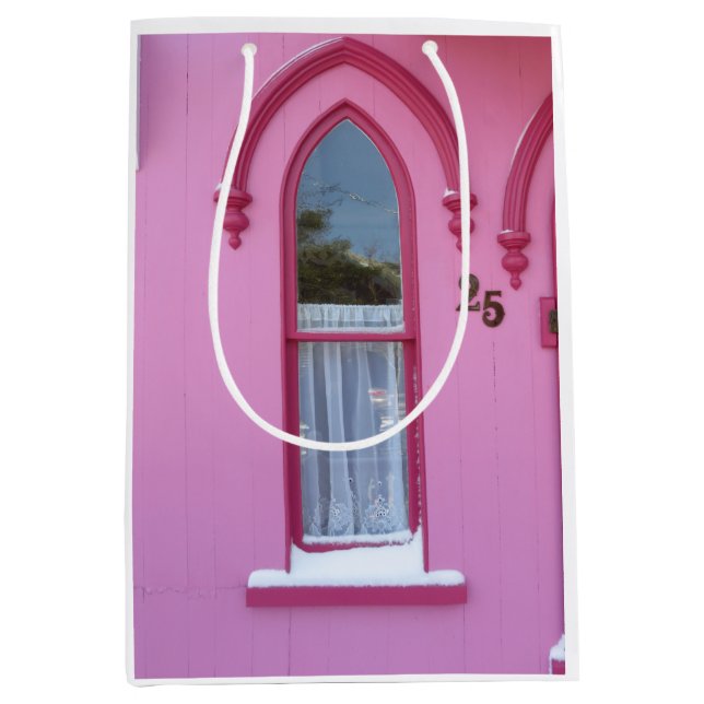 Gothic Window och Snö - Martha's Vineyard (Framsidan)