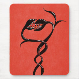 gotin Snakes Red and Black Musmatta