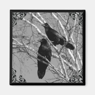 Gotisk magnet för två Ravens