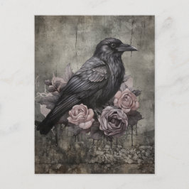 Gotisk Raven Mörk Akademisk Lämning Vykort