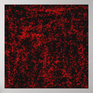 gotiska stjärnor poster