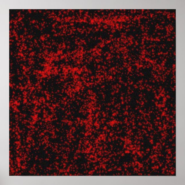 gotiska stjärnor poster (Framsidan)