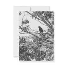 Gotiskt korp vykort