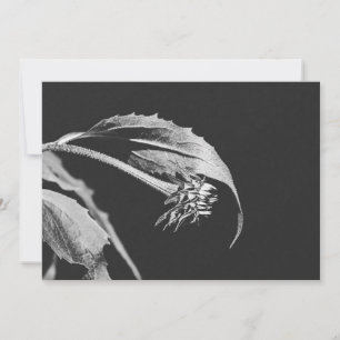 Gotiskt vissnande blomma Fotoåtertryck Inbjudningar