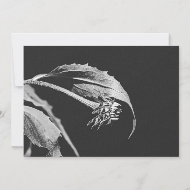 Gotiskt vissnande blomma Fotoåtertryck Inbjudningar (Framsida)