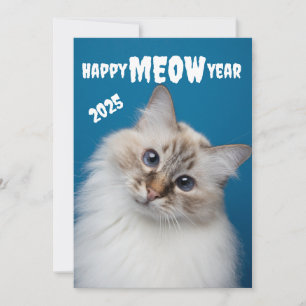 Gott KATT Nytt år Söt katt Julkort