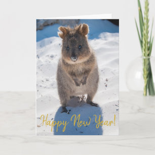 Gott nytt år Cute Quokka om Beach Australia Kort