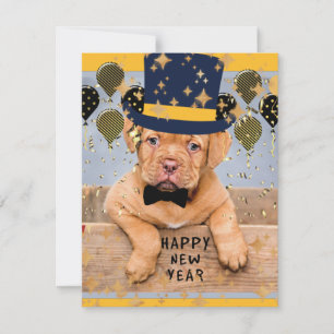 Gott nytt år från Dogue de Bordeaux Julkort