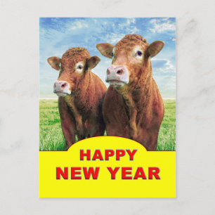 gott nytt år från ko-pojkarna vykort