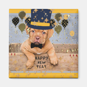 Gott nytt år från nyårsdockan magnet