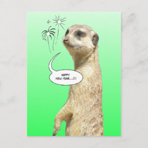 Gott nytt år Meerkat Postcard Fireworks Grönt Helg Vykort
