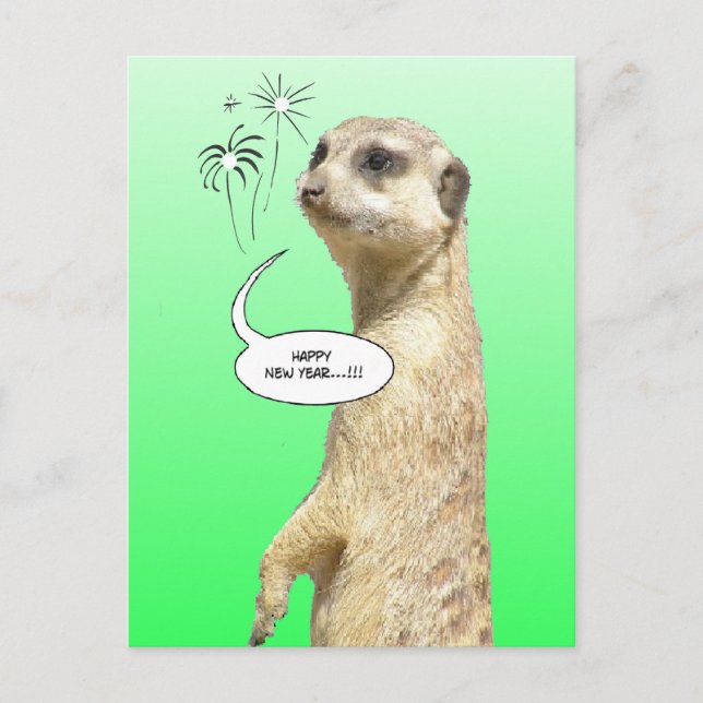 Gott nytt år Meerkat Postcard Fireworks Grönt Helg Vykort (Framsida)