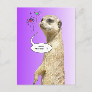 gott nytt år Meerkat Postcard Fireworks Lila Helg Vykort