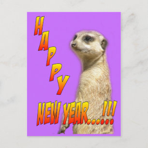 Gott nytt år Meerkat vykort
