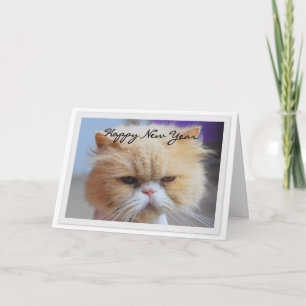 Gott Nytt År Persisk Katt Humor Helgkort