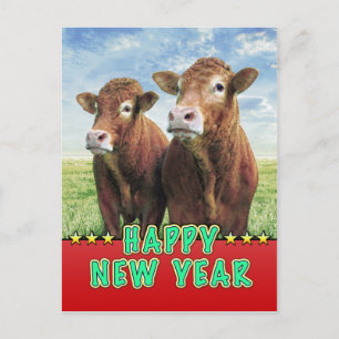 GOTT NYTT ÅRhäxa kopojkarna Helg Vykort