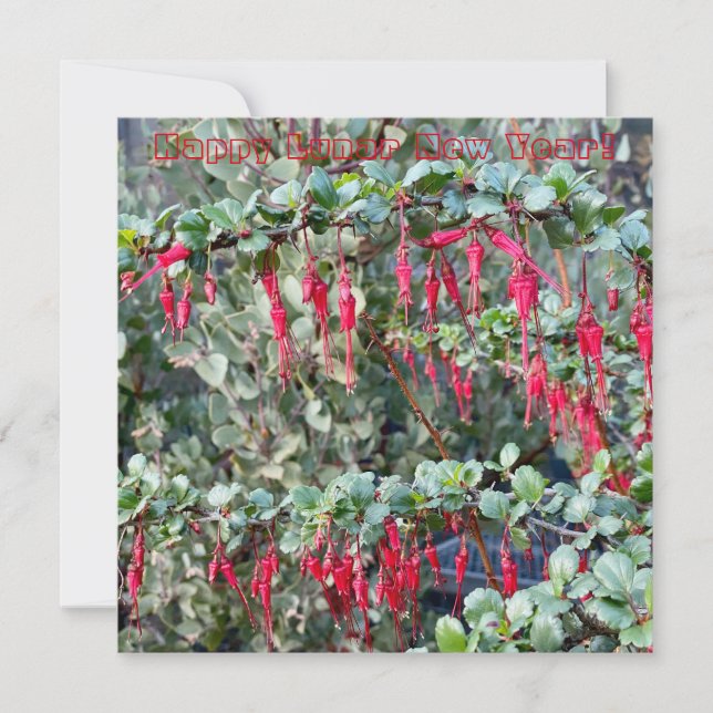 Gott nytt lunisolarår anteckningskort (Framsida)