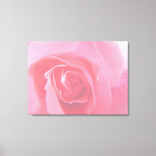 Gott rosa ros blomma Makro bild. Canvastryck
