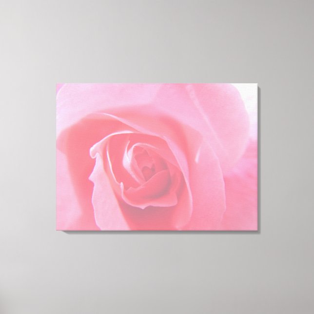 Gott rosa ros blomma Makro bild. Canvastryck (Framsida)